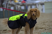 RIMINI 2012 - 065